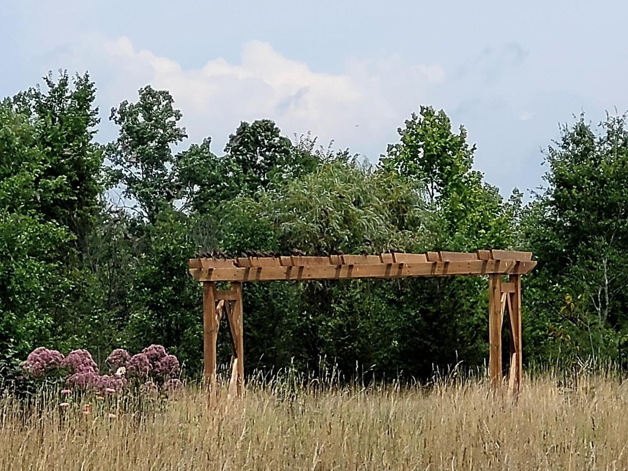 The Walnut Grove Bnb Harrow Kültér fotó